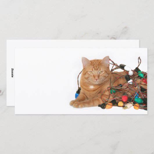 猫のクリスマスの光のもつれ シーズンカード