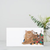 猫のクリスマスの光のもつれ シーズンカード (スタンド正面)