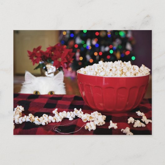 猫のクリスマスの誘惑 ポストカード (正面)