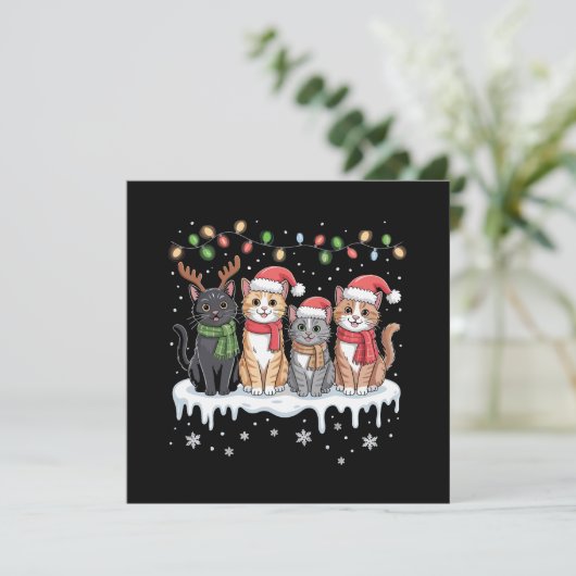 猫のクリスマスイルミネーション サンタ クリスマス 猫好き (スタンド正面)