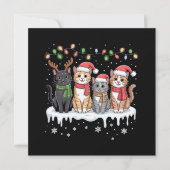 猫のクリスマスイルミネーション サンタ クリスマス 猫好き (正面)