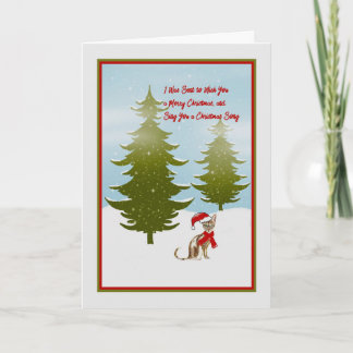 猫のクリスマスカード シーズンカード