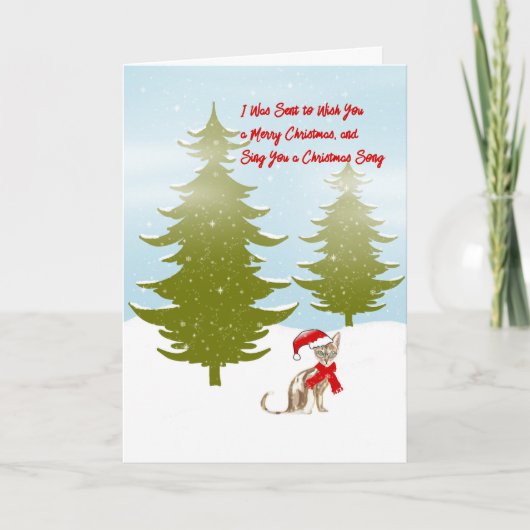 猫のクリスマスカード シーズンカード (正面)