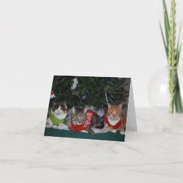 猫のクリスマスカード シーズンカード
