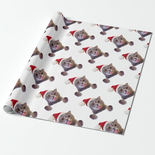 猫のクリスマスタン ラッピングペーパー (アンロールド)