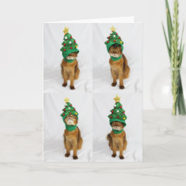 猫のクリスマスツリーの帽子の挨拶状 シーズンカード