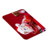 猫のクリスマスマグネットをトライデントに マグネット (右側)