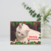 猫のクリスマス挨拶 ポストカード (スタンド正面)