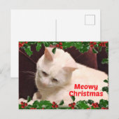 猫のクリスマス挨拶 ポストカード (正面/裏面)