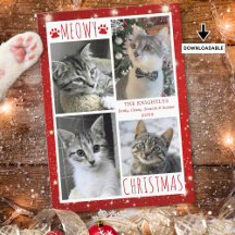 猫のクリスマス4枚の写真