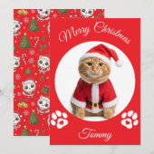 猫のクリスマス カード オーダーメイド 名前と写真 (正面/裏面)