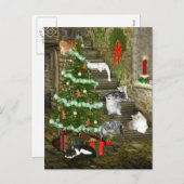 猫のクリスマス シーズンポストカード (正面/裏面)