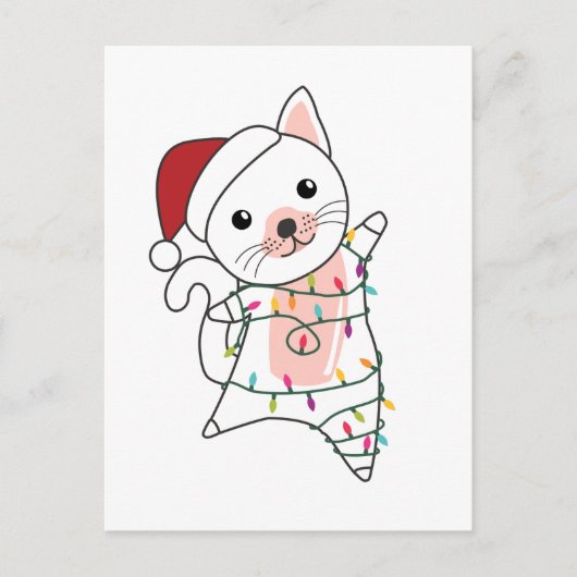 猫のクリスマス　雪　冬　動物　ネコたち シーズンポストカード (正面)