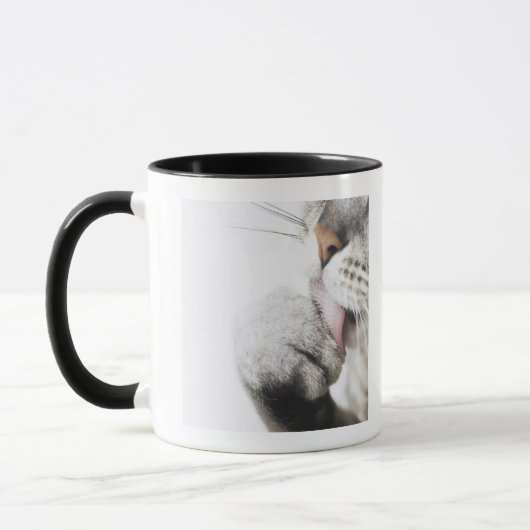 猫のクリーニングの足、クローズアップ マグカップ (左)