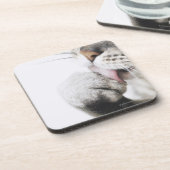 猫のクリーニングの足 コースター (左側)