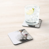 猫のクリーニングの足 コースター (右側)