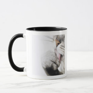 猫のクリーニングの足 マグカップ