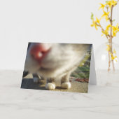 猫のクローズアップ カード (黄色い花)