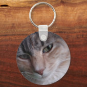 猫のクローズアップ キーホルダー (正面)