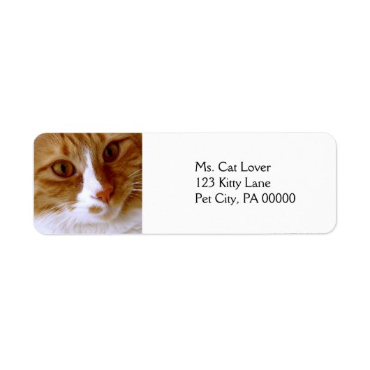 猫のクローズアップ 返送先ラベル ラベル (正面)