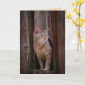 猫のグリーティングカードを見る カード (黄色い花)