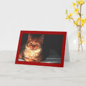 猫のグ空白のリーティングカード… カード (黄色い花)