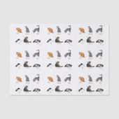 猫のコマンド イラスト入りトレーニングチャート 薄葉紙 (正面)