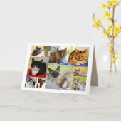 猫のコラージュのバースデー・カード カード (黄色い花)