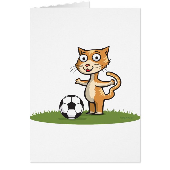 猫のサッカー (正面)
