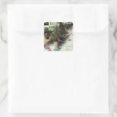 猫のシール スクエアシール (バッグ)