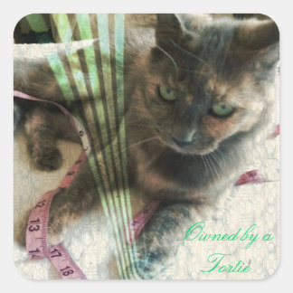 猫のシール スクエアシール