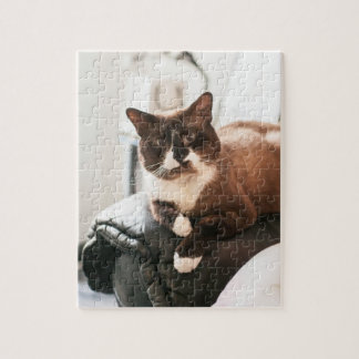 猫のジグソーパズル ジグソーパズル