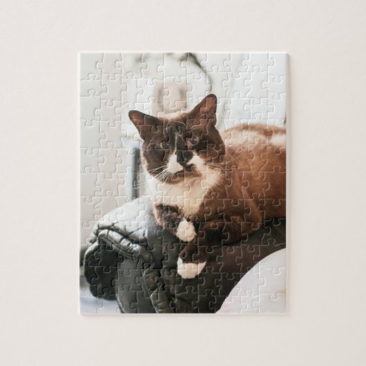 猫のジグソーパズル ジグソーパズル (縦)