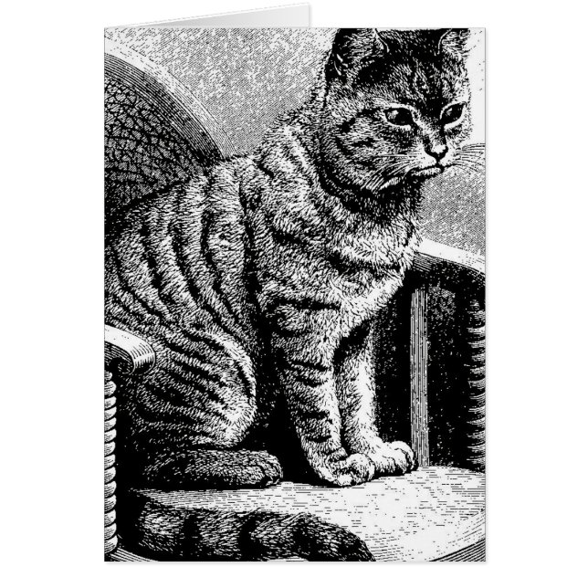 猫のスケッチ (正面)