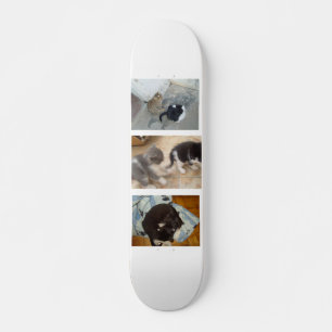 猫のスケートボード スケートボード