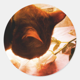 猫のステッカーをチェックする ラウンドシール