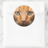 猫のステッカーを見る ラウンドシール (バッグ)