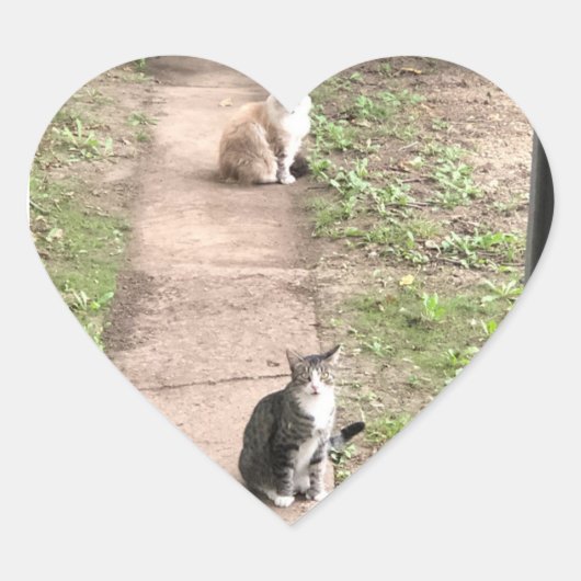 猫のステッカー ハートシール (正面)