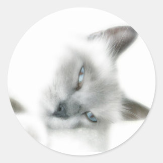 猫のステッカー ラウンドシール