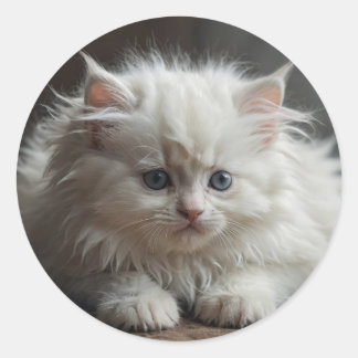 猫のステッカー ラウンドシール