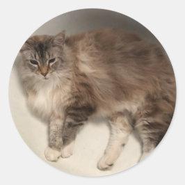 猫のステッカー ラウンドシール