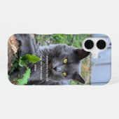 猫のスマホケース iPhone 16ケース (裏面横)
