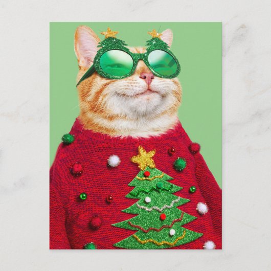 猫のダサいクリスマススウェター インビテーションポストカード (正面)