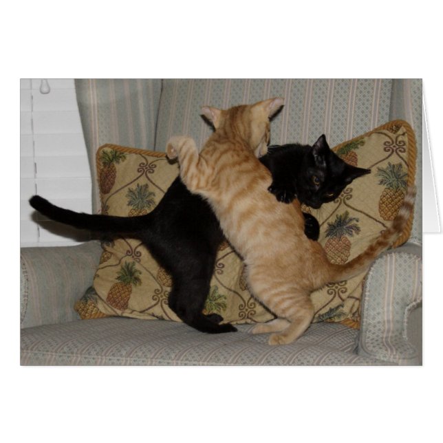 猫のダンス (正面横)