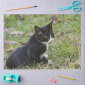 猫のティシューペーパー 薄葉紙 (クラフト)