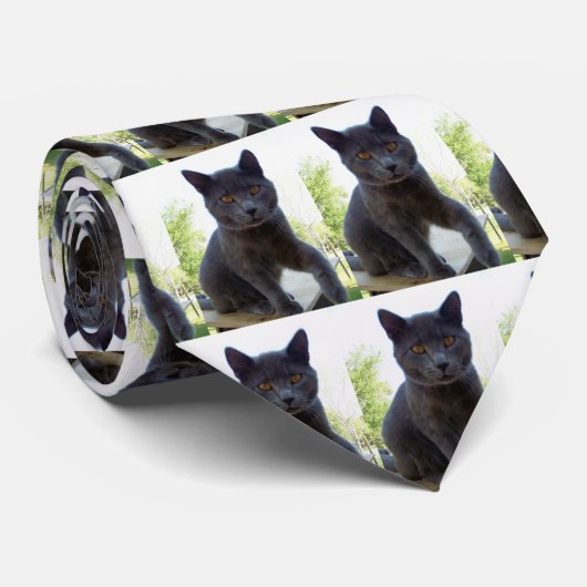 猫のテーマの首のタイ ネクタイ (ロール)