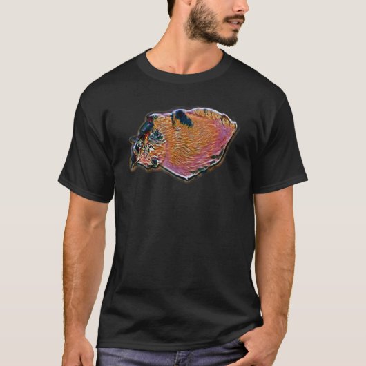 猫のデジタル抽象画 40 Tシャツ (正面)