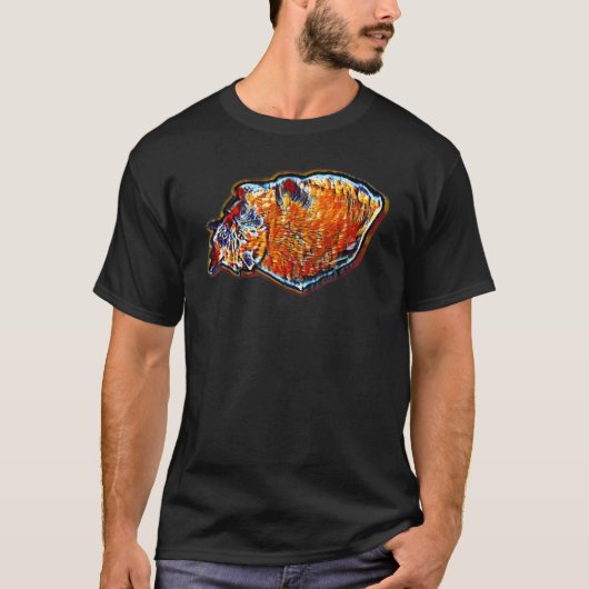猫のデジタル抽象画 5 Tシャツ (正面)