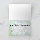 猫のナッピンのグリーティングカード カード (内部)