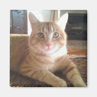 猫のナビー マグネット